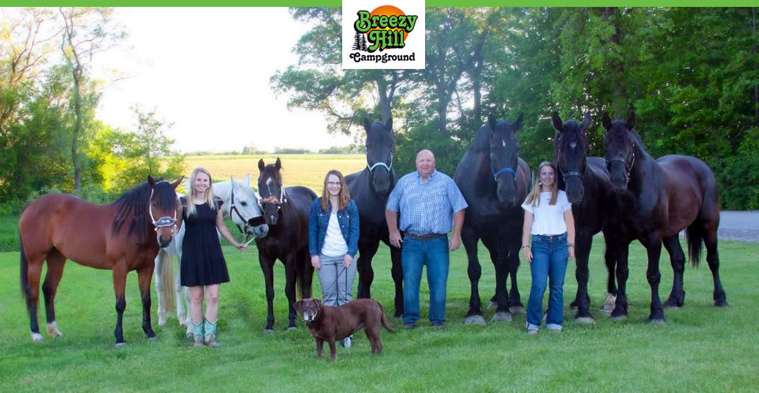 Horseback Riding Lessons